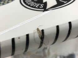 �G�|�L�V �A�������b�N �T���_�[�{���g 52_3